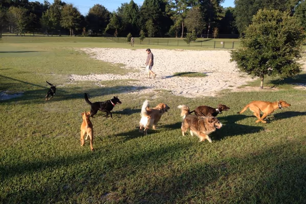 Possum Creek Dog Park